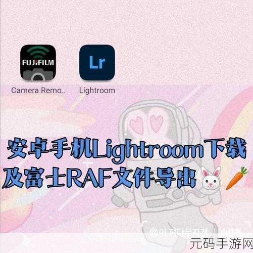 轻松找回富士相机丢失的 RAF 照片秘籍