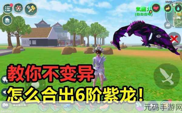 手游资讯,创造与魔法新版本详解——如何解除绑定道具的绑定