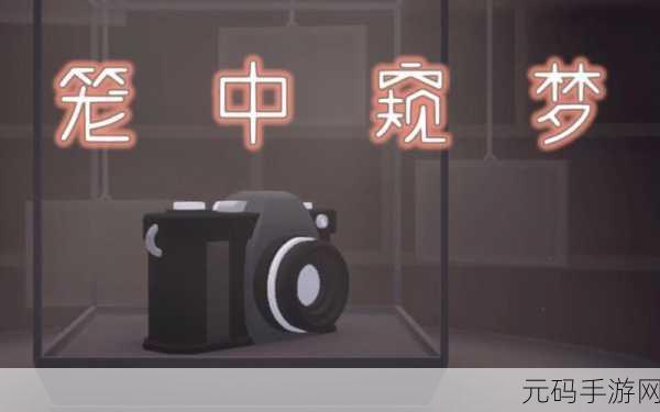 以笼中窥梦照片位置全攻略，解锁虚拟世界的秘密