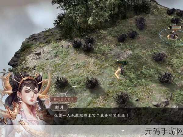 古龙风云录队友快速升级提升技巧全揭秘
