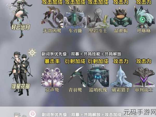 手游资讯，深入解析鸣潮异相声骸的使用方法