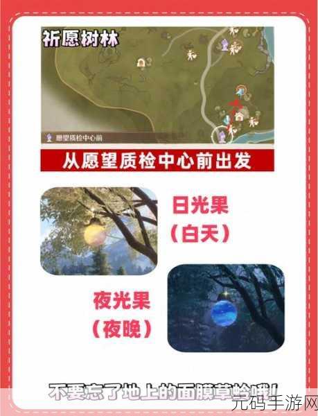 无限暖暖领结毛团捕捉全攻略,解锁时尚新篇章