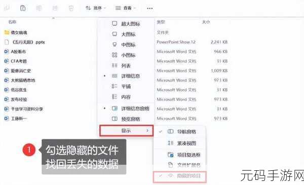 内存卡格式化数据恢复秘籍，轻松找回丢失的珍贵信息