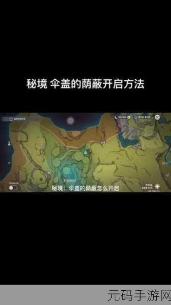 原神伞盖的荫蔽秘境解锁与开启全攻略