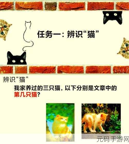 灵猫传深度玩法全解，探索神秘世界的奇妙之旅