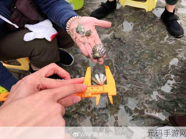 一代沙雕泰坦泥壳号通关全攻略,揭秘游戏背后的趣味与挑战