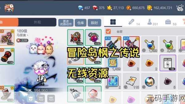 冒险岛枫之传说60级挂机升级全攻略,解锁高效升级新技巧