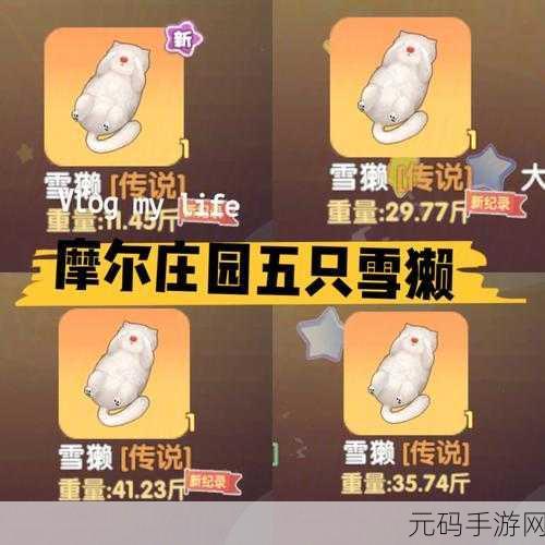 摩尔庄园手游雪獭钓取全攻略