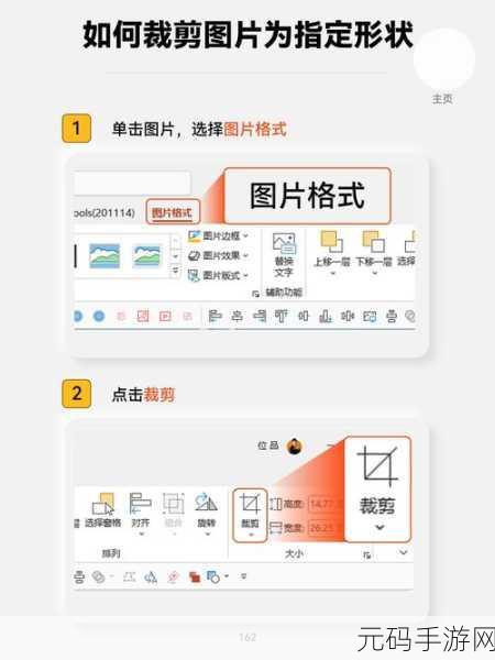 PPT 图片裁剪秘籍,形状与比例裁剪全攻略