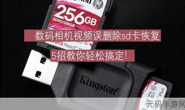 轻松搞定 SD 卡数据恢复,最简妙法大揭秘