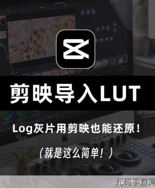 轻松掌握!剪映电脑版 LUT 调色秘籍大公开