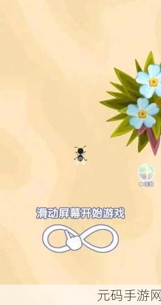 召唤神凤小游戏深度解析,最终神凤形态揭秘