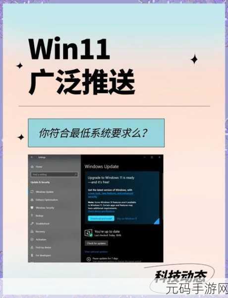 Win11 策略服务被禁没网?完美解决秘籍在此!