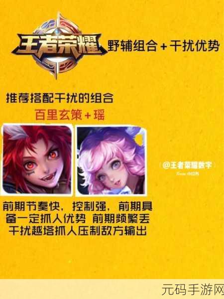 王者荣耀,深入解析干扰技能的使用与常见问题