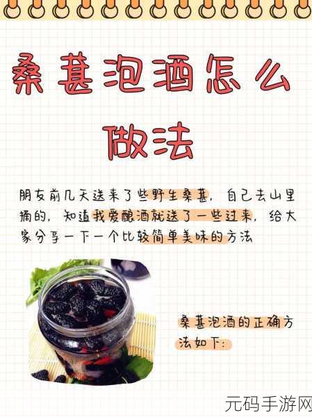 手游资讯,揭秘江湖悠悠手游中桑椹酒的独特配方与魅力