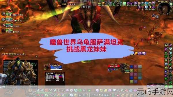 魔兽世界乌龟服贝壳币全面解析,获取途径与使用方法