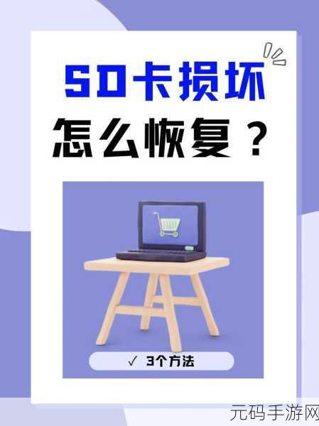 SD 卡损坏照片找回秘籍,超实用恢复方法大揭秘