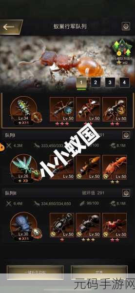 小小蚁国最强区域战深度解析与获胜攻略