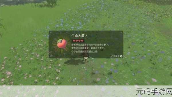 王国之泪生命大萝卜位置全揭秘