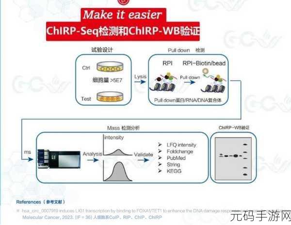 探索 Cassandra 和 HBase 能否协同作战