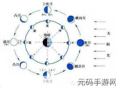 天道创造手游种族数量全面揭秘