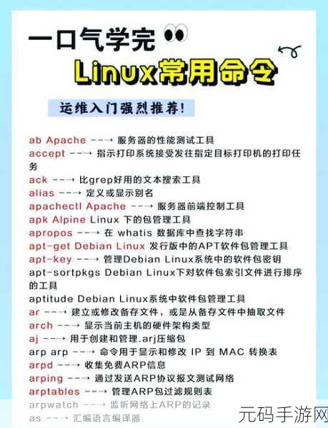 Linux 中 Shell 安全性提升秘籍