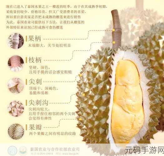 魔兽世界熟透的榴莲果位置及获取方法全攻略