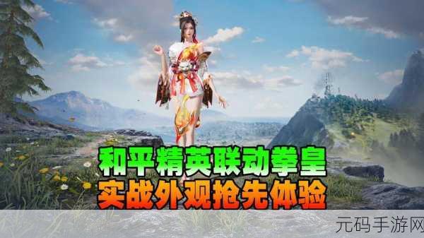 和平精英拳皇狂花道系列皮肤价格揭秘