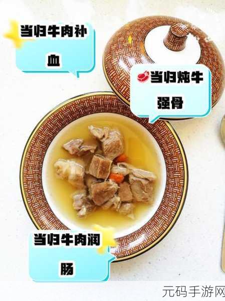 手游资讯,探索凌云诺中的美食文化——当归生姜牛肉汤制作揭秘