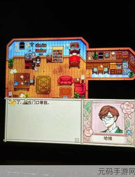 星露谷物语哈维行程全解析