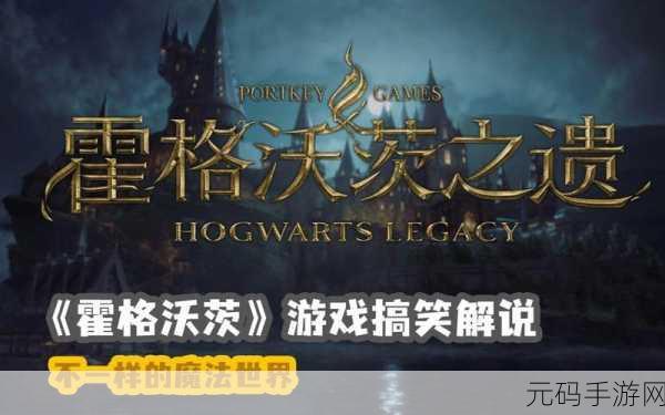 霍格沃茨之遗闪退问题全解析，高效解决方案助你畅游魔法世界