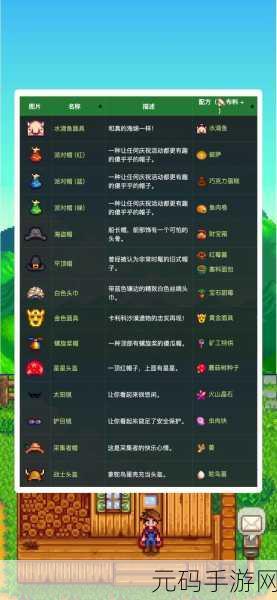 手游资讯,星露谷物语中哪款衣服最受欢迎?深度解析与推荐
