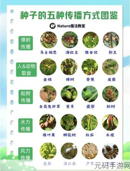 探索 C TreeNode 的多样应用领域