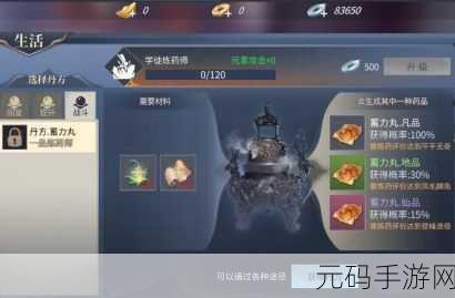 掌握 ResultTransformer 实用技巧,手游体验大升级