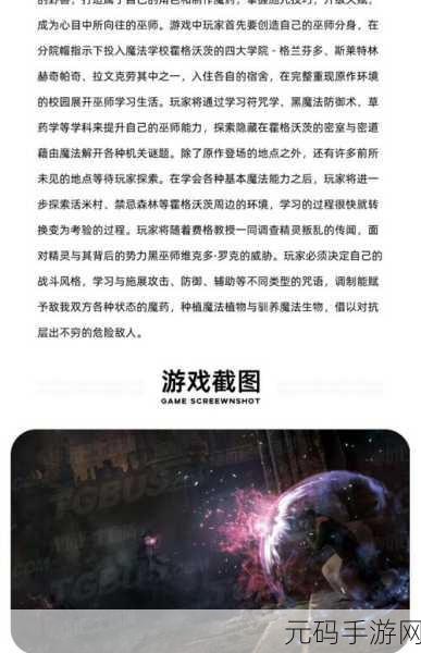 霍格沃茨之遗,装备满载解决方案与游戏攻略