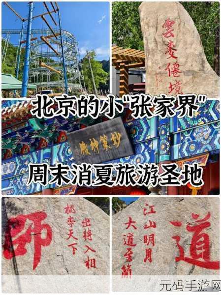 云梦四时歌快速升级攻略，助你驰骋仙境，飞速成长