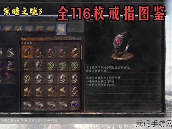 黑暗之魂3陪葬品全攻略,深入探索黑暗世界的奥秘