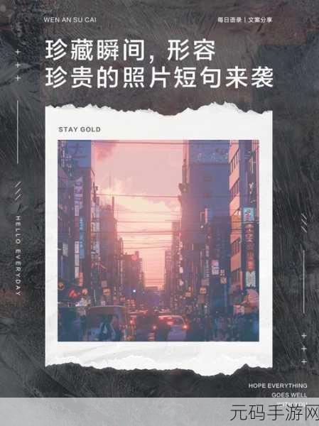 手机照片传输丢失难题全攻略,让珍贵瞬间不再溜走!