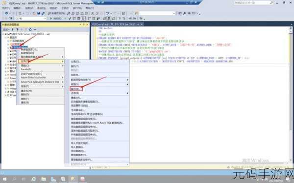 深度解析,SQL 输入与输出的显著差异