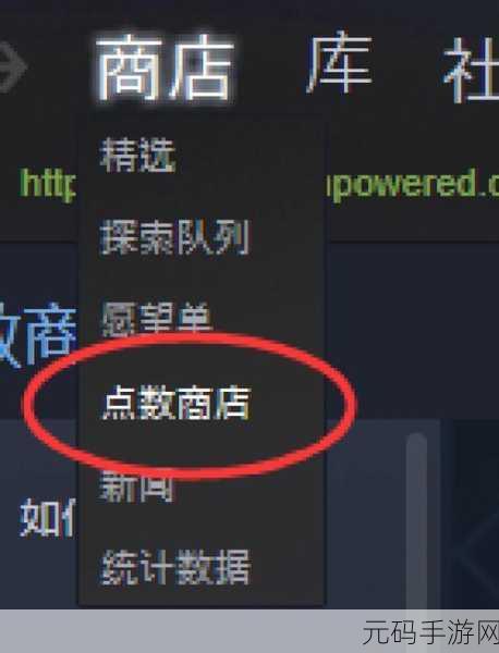 Steam点数作用全解析,解锁游戏社区新玩法