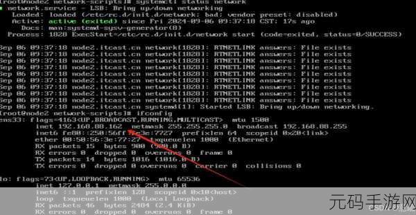 探索 C 和 Linux 在网络编程中的独特魅力与优势