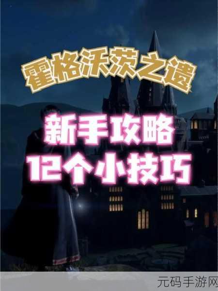 手游资讯,揭秘霍格沃茨之遗镜子开启攻略与隐藏秘密