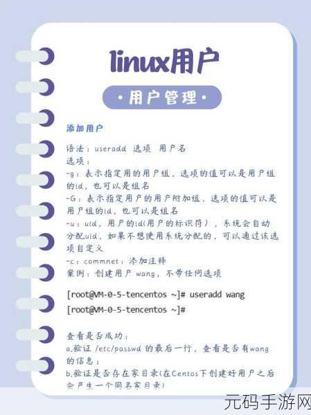 探秘,sh 命令如何助力 Linux 用户管理