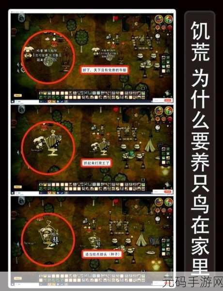 饥荒手游资讯,揭秘暗影傀儡的奇妙用途