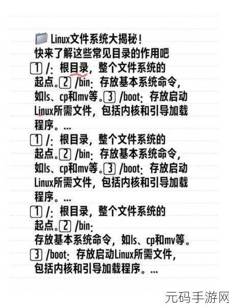 Linux 服务器存储优化秘籍大揭秘