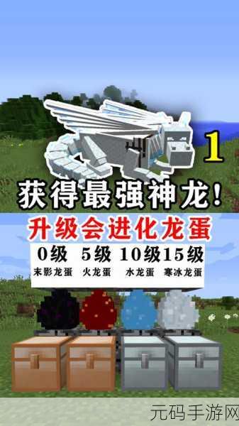 我的世界手游龙蛋孵化全攻略，揭秘龙蛋孵化的奇幻之旅