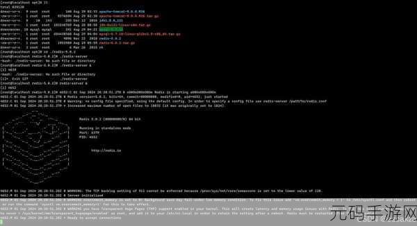 掌握关键技巧,让 Linux Redis 性能飞跃