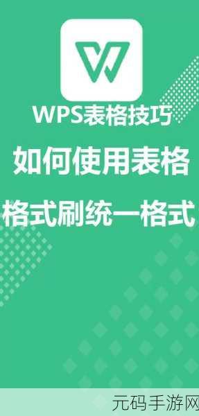 WPS 格式刷的神奇用法全攻略