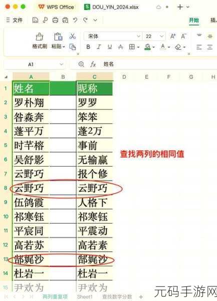 WPS 表格秘籍,轻松搞定某列重复项及对应行的快速删除