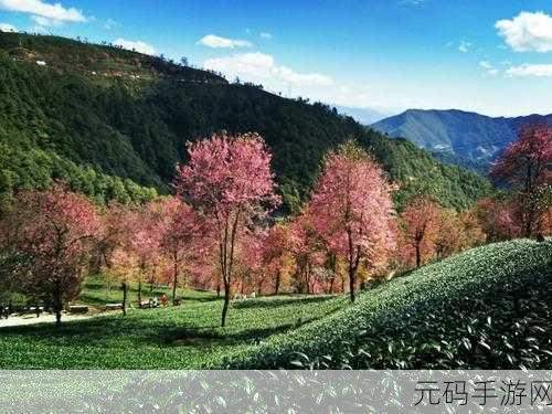 我的侠客琅琊福地探寻之旅,无量山中的隐秘仙境